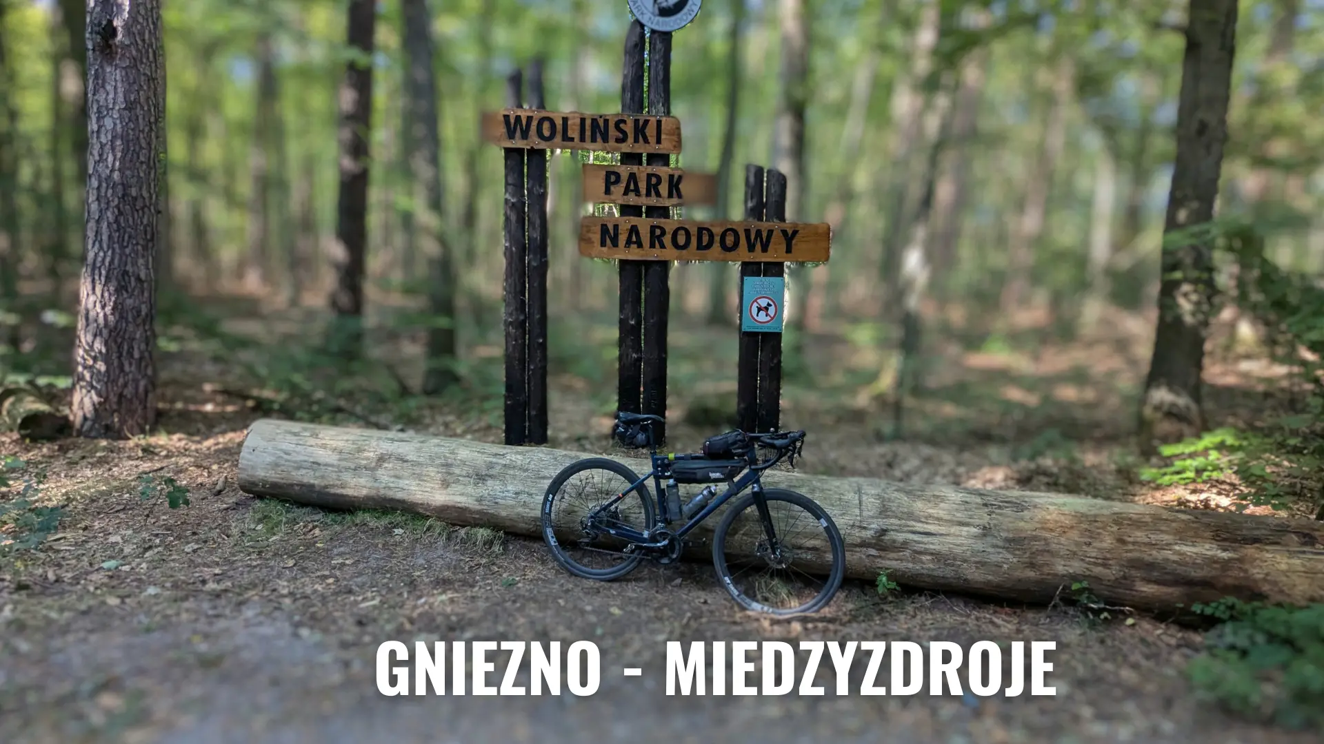 Feature Image for  Spontaniczna wyprawa rowerowa: Gniezno - Międzyzdroje